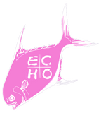 ECHO Permit Sticker (multiple color options)