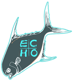 ECHO Permit Sticker (multiple color options)
